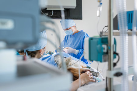 Female veterinary surgeon suturing the wound after dog cancerous tumor removal procedure in an animal hospital operating room.の写真素材