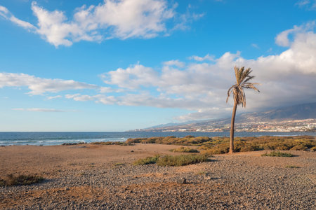 The shoreline of Playa de las Americas, Tenerife features gentle waves lapping against pebbles, with...