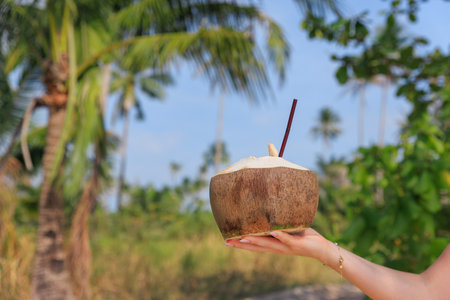 A hand holds a fresh coconut with a straw in a lush tropical setting in Thailand, surrounded by palm trees and greenery on a sunny day.の写真素材