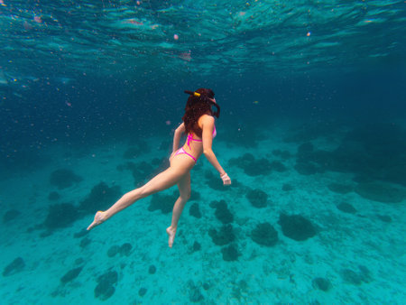 A young woman swims gracefully underwater while snorkeling in Thailand. Bright tropical fish swim around her in the vibrant ocean, showcasing the rich marine life of the region.の写真素材