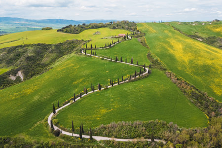 A winding road meanders through vibrant green hills dotted with cypress trees under a partly cloudy sky. The landscape highlights the beauty of nature in spring, showcasing rolling fields.の写真素材
