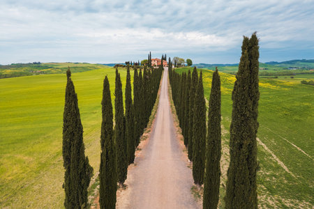 A gravel road stretches toward a villa, bordered by tall cypress trees. The lush green hills of Tuscany rise gently in the background, creating a serene atmosphere on a cloudy day.の写真素材