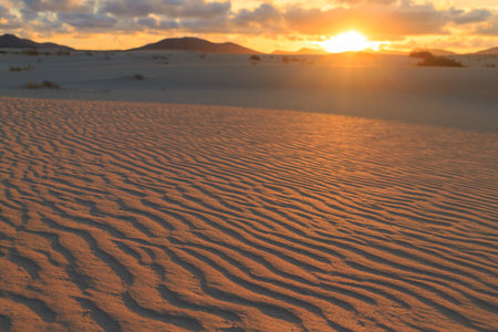 Warm sunlight casts a golden hue over gentle sand dunes, highlighting their textured surface as evening approaches in a tranquil desert.の写真素材
