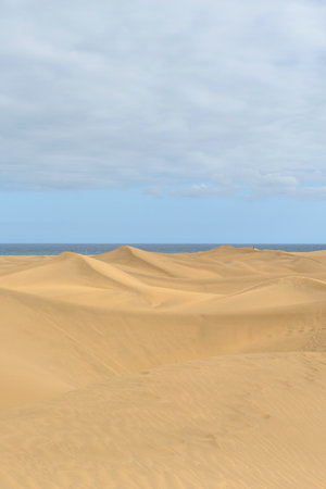 Expansive sand dunes stretch towards the horizon, merging with a tranquil ocean under a partly cloudy sky near the coast.の写真素材