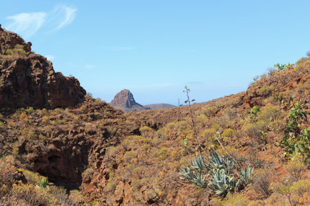 Vibrant rocky terrain showcases unique vegetation under a clear blue sky with a distant mountain peak adding to the natural beauty.の写真素材
