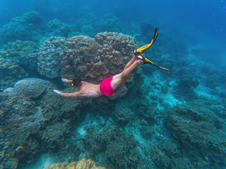 A man swims through a clear blue ocean, diving near a colorful coral reef. Bright tropical fish swim nearby as sunlight filters through the water, creating a serene marine environment.の写真素材