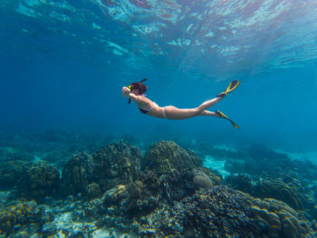 A woman enjoys snorkeling in Thailand, exploring the colorful coral reefs. Bright marine life surrounds her as she glides gracefully through the clear blue water.の写真素材