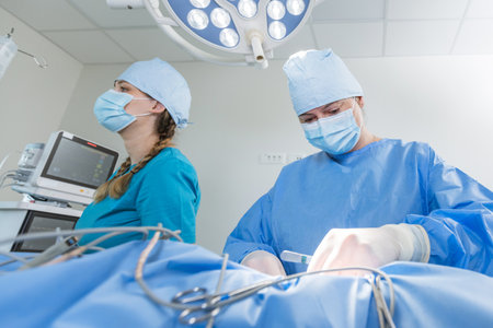 Two surgeons in blue scrubs and masks are focused on a surgical procedure in a well-lit clinic environment.の写真素材