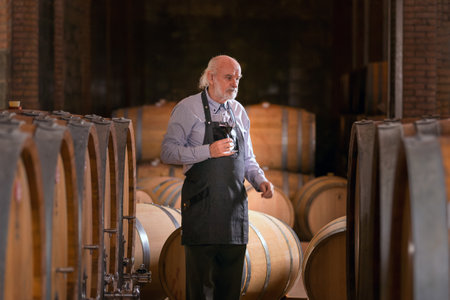A winemaker, dressed in an apron, walks among large oak barrels inside a dimly lit winery cellar,...
