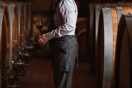 A man in a gray apron and shirt stands in a wine cellar, holding a glass of red wine near oak barrels.の写真素材