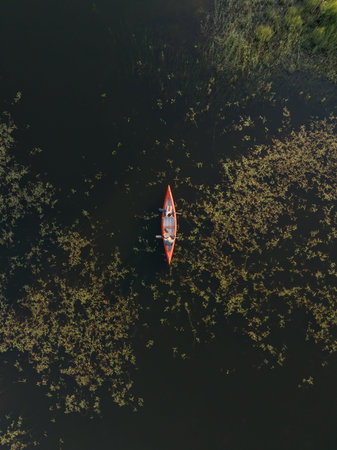 A couple paddles a canoe on a lake surrounded by water plants and greenery, top down aerial view.