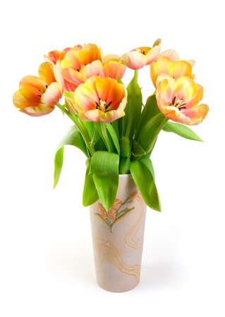 Colourful tulips in ceramic vaseの写真素材