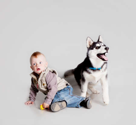 Child with puppy husky in studioの写真素材