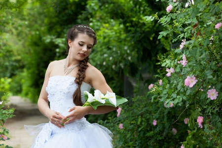 Beautiful brunette bride portrait in summer parkの写真素材