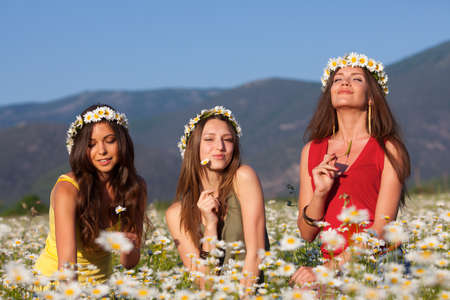 Three girlfriends on camomile meadowの写真素材