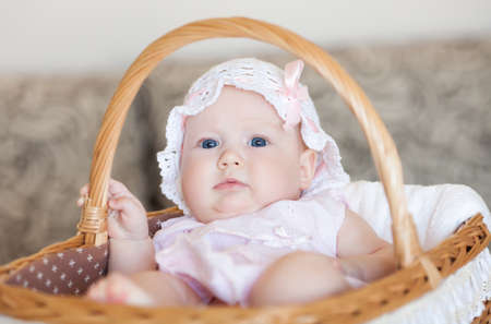 Infant laying in the basketの写真素材
