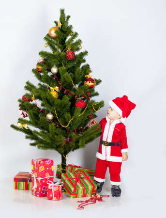 Little boy near christmas pineの写真素材