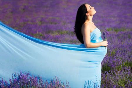 Young pregnant woman on lavender fieldの写真素材