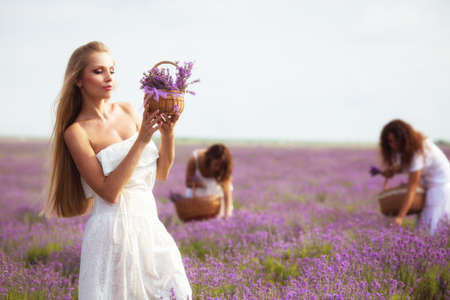 Three girls on lavender fieldの写真素材