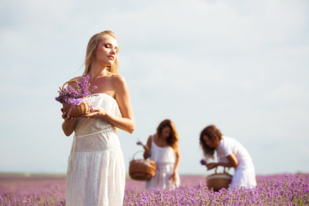 Three girls on lavender fieldの写真素材