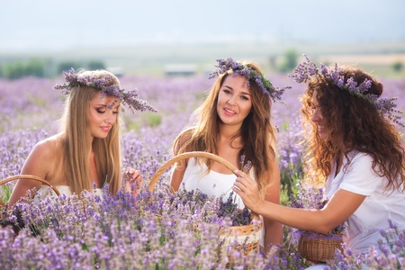 Three girls on lavender fieldの写真素材