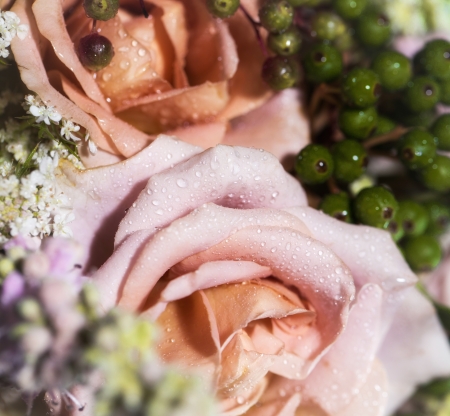 Rose bridal bouquetの写真素材