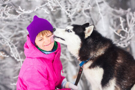 Beautiful girl with husky dogの写真素材