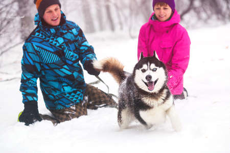Beautiful girl and boy walking with husky dog in winter forestの写真素材