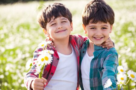 Two young boys on the camomile meadow の写真素材