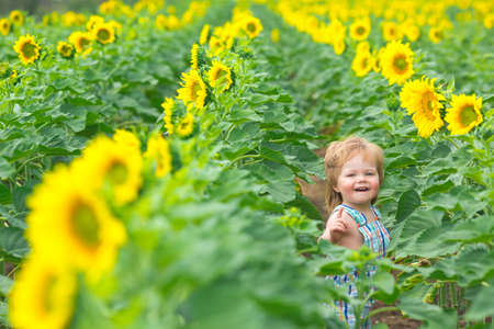 Little boy playing on the sunflower fieldの写真素材