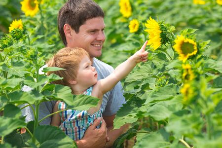 Father with son on the sunflower fieldの写真素材