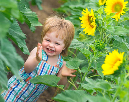 Little boy playing on the sunflower fieldの写真素材