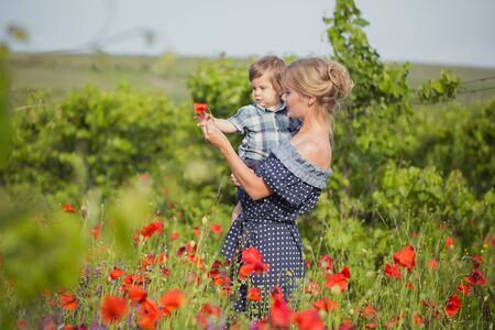 Mother playing with sonon poppy fieldの写真素材