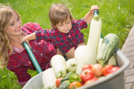 mom and son with vegetables harvest in garden. little boy sitting in the wheelbarrowの写真素材