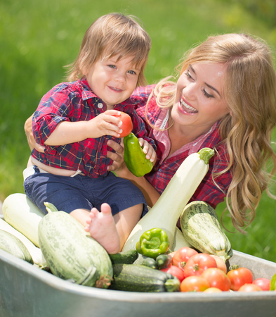 mom and son with vegetables harvest in garden. little boy sitting in the wheelbarrowの写真素材