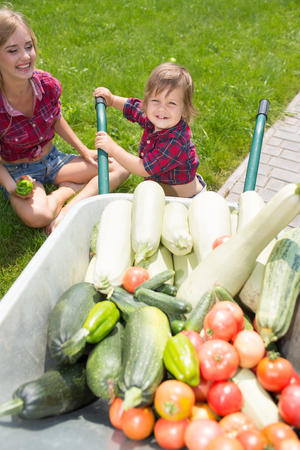 mom and son with vegetables harvest in garden. little boy sitting in the wheelbarrowの写真素材