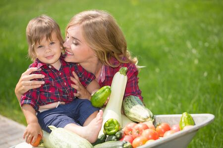 mom and son with vegetables harvest in garden. little boy sitting in the wheelbarrowの写真素材