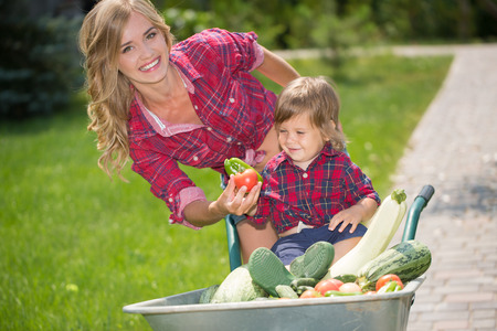 mom and son with vegetables harvest in garden. little boy sitting in the wheelbarrowの写真素材