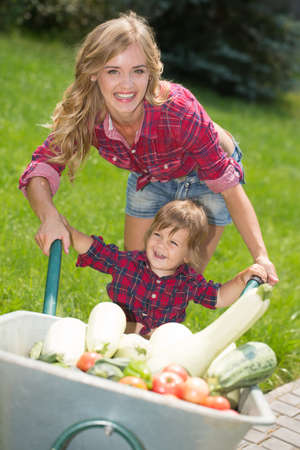 mom and son with vegetables harvest in garden. little boy sitting in the wheelbarrowの写真素材