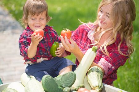 mom and son with vegetables harvest in garden. little boy sitting in the wheelbarrowの写真素材