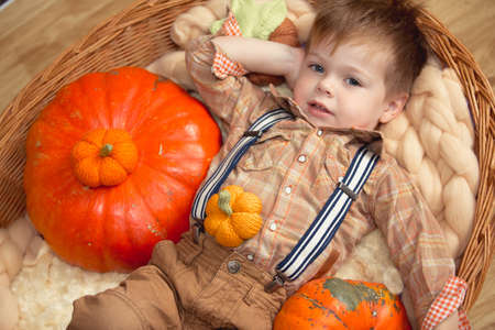 Little boy with pumpkin on the farmの写真素材