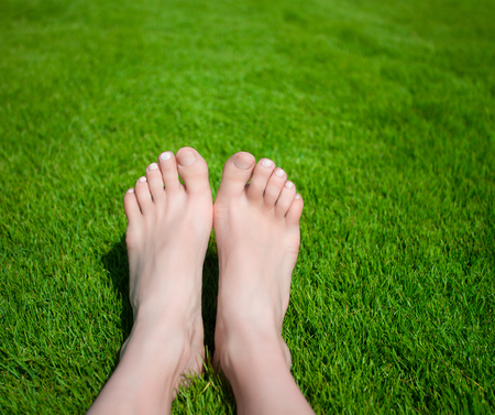 Woman legs on the green grass meadowの写真素材