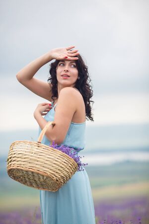 Young beautiful woman harvesting lavender flowers in franceの写真素材