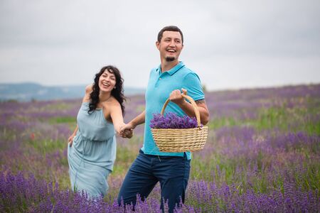 Young beautiful couple harvesting lavender flowers in franceの写真素材