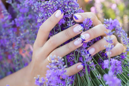Lavender in the hands with a nice manicureの写真素材