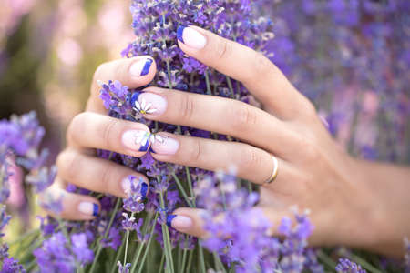 Lavender in the hands with a nice manicureの写真素材
