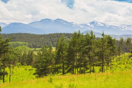 Old mountains on the border between Serbia and Bulgariaの写真素材