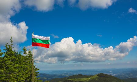 Bulgarian flag with trees and blue sky on backgroundの写真素材
