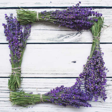 Lavender over white wood background. With copy-spaceの写真素材