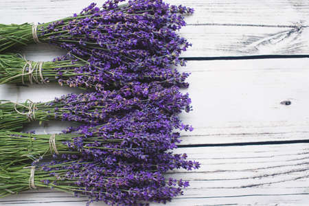 Lavender over white wood background. With copy-spaceの写真素材